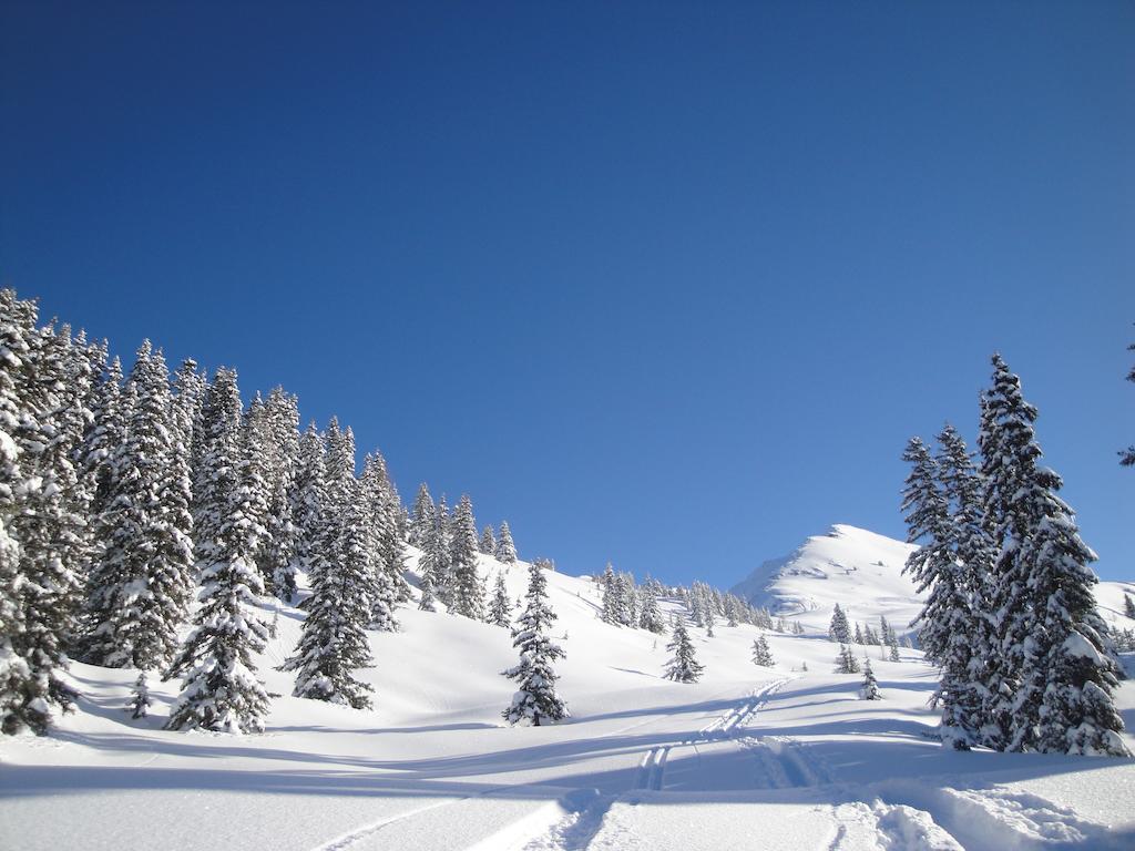 Appartementhaus Eberharter Hart im Zillertal Δωμάτιο φωτογραφία
