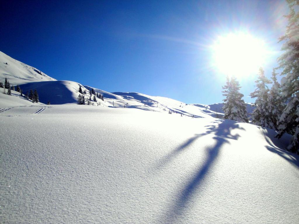 Appartementhaus Eberharter Hart im Zillertal Εξωτερικό φωτογραφία
